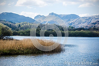 Lake Elterwater, Cumbria, UK Stock Photo