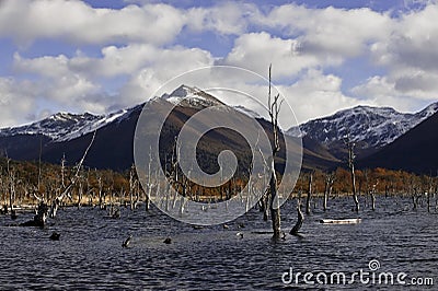 Lake Escondido, Tierra del Fuego, Argentina Stock Photo