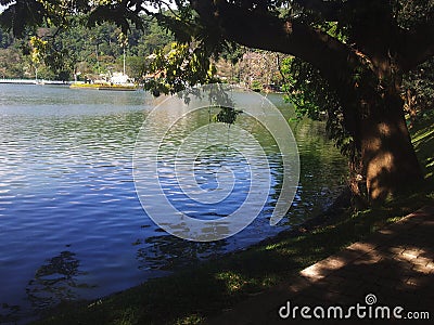 Lake in evening Stock Photo