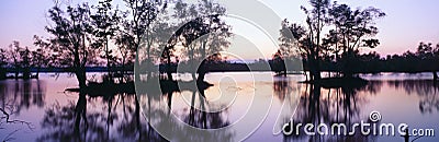 Lake Fausse Pointe State Park at sunset Stock Photo