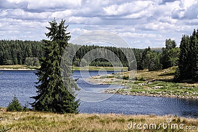 Lake Flaje lagoon with spruces Stock Photo