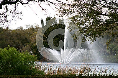 Lake and fountain Stock Photo