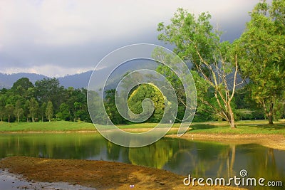 Lake Garden Stock Photo