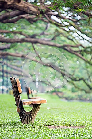 Lake garden at taiping malaysia Stock Photo