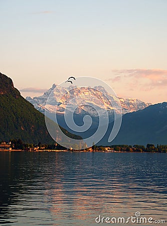 Lake Geneva and Dents du Midi Stock Photo