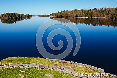 Lake with a grassy beach and distant forest Stock Photo