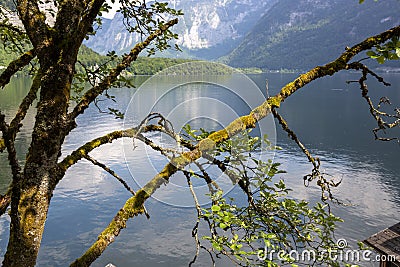 Lake Hallstattersee in Hallstatt Stock Photo