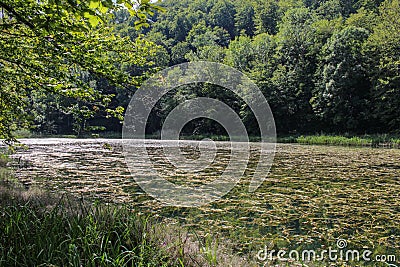 Lake - Jankovac, Papuk, Croatia Stock Photo