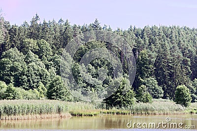 The lake Kammerweiher in Frankonia in Germany Stock Photo