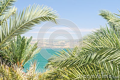 Lake Kinneret or Sea of Galilee in the frame of palm fronds Stock Photo