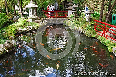 Lake with Koi fish in Tropical Garden Monte Palace, Madeira, Portugal Editorial Stock Photo