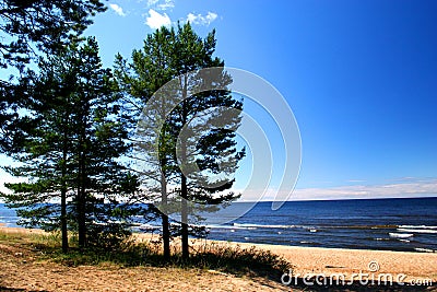 Lake Ladoga. A beach. Stock Photo