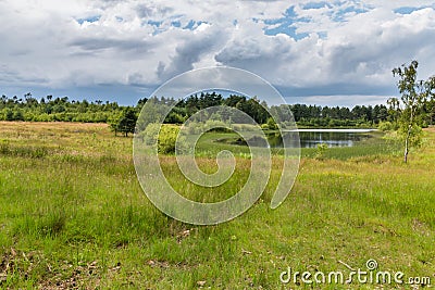 Lake landscape Stock Photo