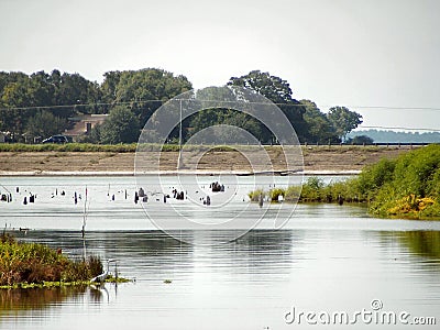 Lake Livingston Low Water Level Stock Photo