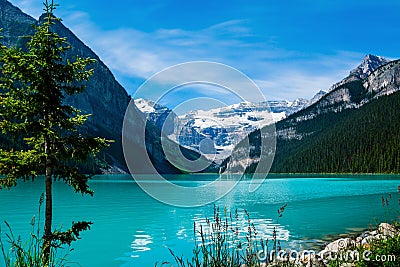 Lake Louise in Banff National Park Stock Photo