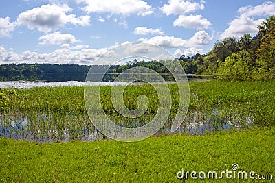 Lake at MaClay Gardens State Park in Tallahassee, Florida Stock Photo