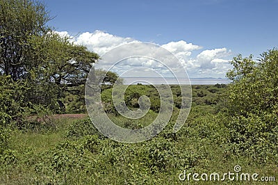 Lake Manyara Stock Photo