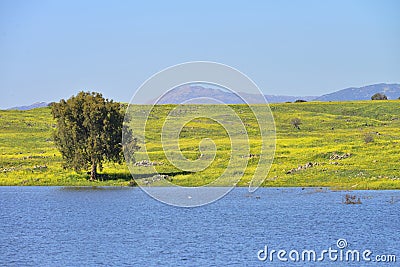 Lake and meadows in golan Heights Stock Photo