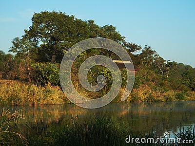 Lake in the middle of african savannah, Kruger, South Africa Stock Photo