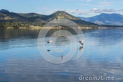 Lake Moogerah in Queensland during the day Stock Photo