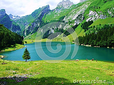 lake, mountain, landscape, water, nature, mountains, sky, reflection, blue, forest, summer, river, green, clouds, travel, view, tr Stock Photo