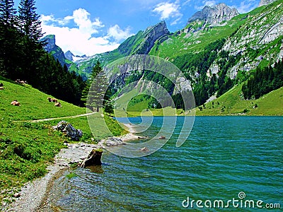 lake, mountain, water, landscape, nature, mountains, sky, blue, river, forest, summer, reflection, green, scenic, view, travel, cl Stock Photo