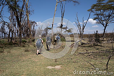 Tourists go on a walking safari on Crescent Island to see wildlife Editorial Stock Photo