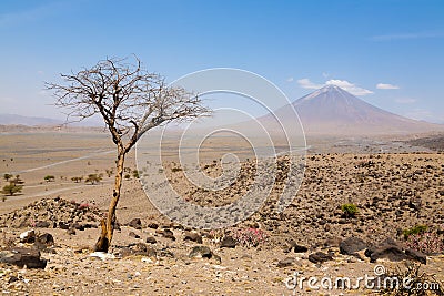 Lake Natron area landscape, Tanzania, Africa. Ol Doinyo Lengai volcano Stock Photo