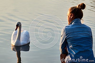 On the lake near the girl the swan gracefully opened its wings Stock Photo