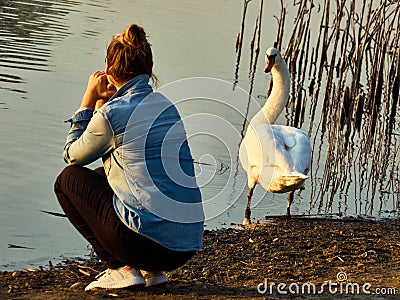 On the lake near the girl the swan gracefully opened its wings Stock Photo