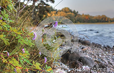Lake Onega, Karelia, Russia Stock Photo