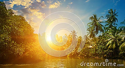 lake with palm trees, mangroves and beautiful sunset. Wide photo Stock Photo