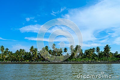 Lake and palms beatiful summer under a the blue sky take a boat to enjoy the view along the side of the river at meaklong river, Stock Photo