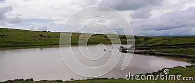 Lake, quiet, grass, wide, space, tracel, outdoor Stock Photo