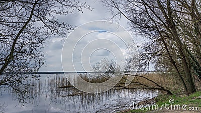 A lake with reeds and trees Stock Photo