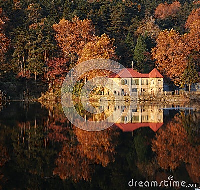 Lake reflections in fall Stock Photo