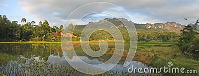 Lake and the ricefields Stock Photo