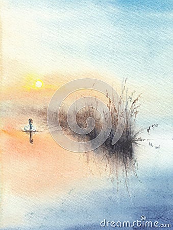 Lake or river landscape with water scene, sunrise and loneless swan Stock Photo