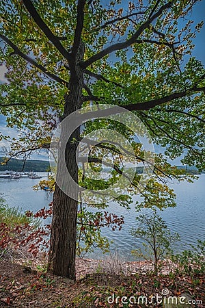 Lake Rursee in the Eifel nature park in western Germany Stock Photo