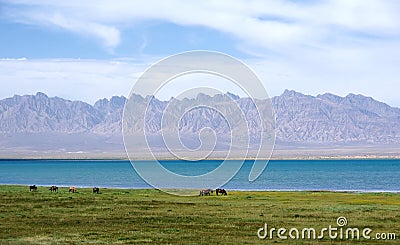 Lake scenery Stock Photo