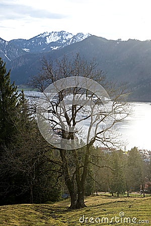 Lake Schliersee, Bavarian Alps Stock Photo