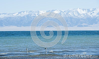 Lake Selimu, dreamy blueï¼Œ Xinjiang Stock Photo