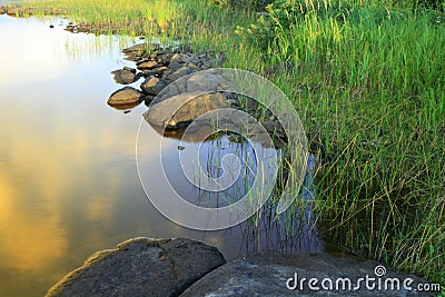 Lake shore fragment Stock Photo