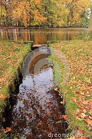 Lake with small water dam and autumn leaves