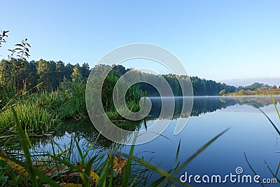 Lake with a smooth surface and reeds reflected in the water Stock Photo