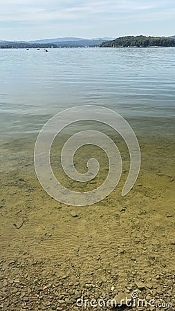 Lake Solinskie visible green water and floating fish large carp Stock Photo