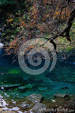 The lake in songpinggou scenic spot â€” autumn Dead branches, red leaves, green water Stock Photo