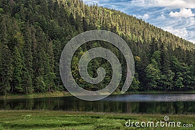 Lake Synevyr in Carpathian mountains, Ukraine. Beautiful mountain lake surrounded by dense green forest on blue sky Stock Photo