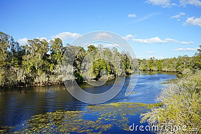 A lake in Tampa Stock Photo