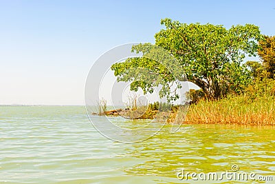 Lake Tana in Ethiopia. Stock Photo